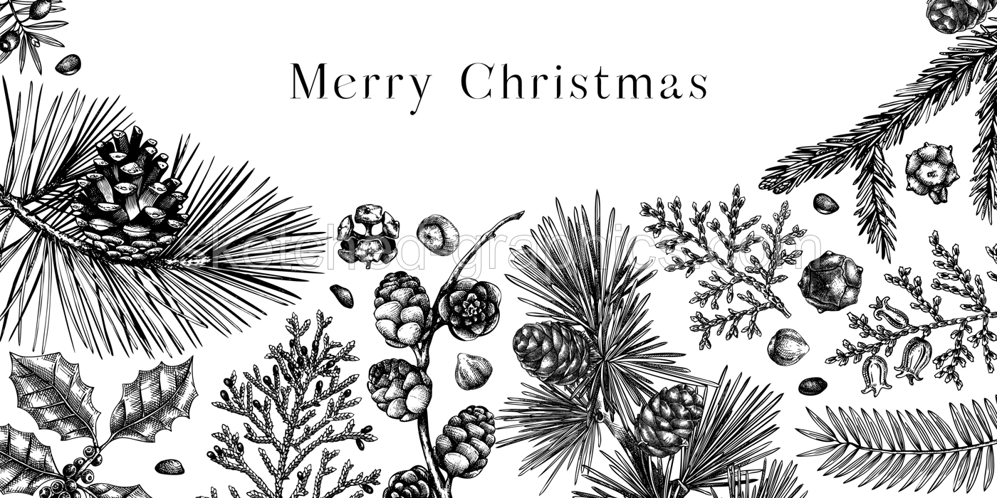 Merry Christmas background. Vintage winter trees, evergreen plants, conifers, and nuts sketches. Vector design with hand drawn botanical elements. Christmas card and New year invitation templates Illustration